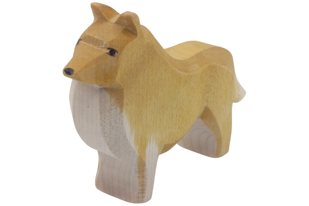 Ostheimer Collie