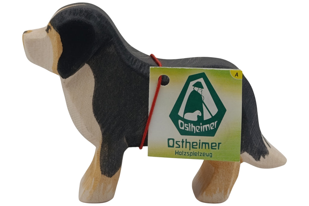 Ostheimer Berner Sennenhund