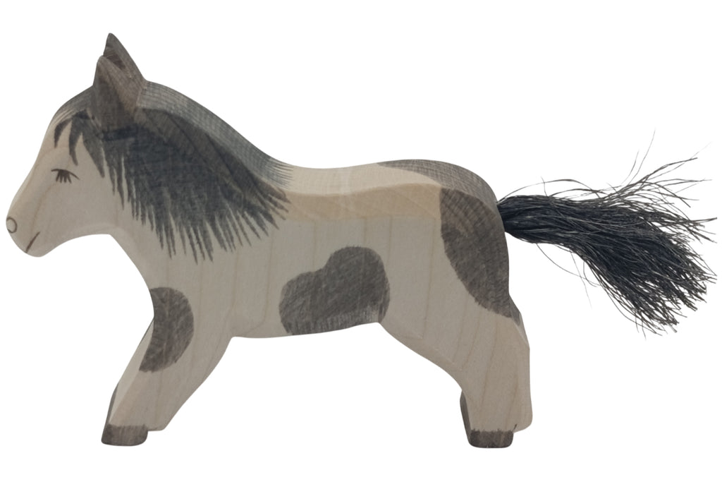 Ostheimer Shetland Pony laufend