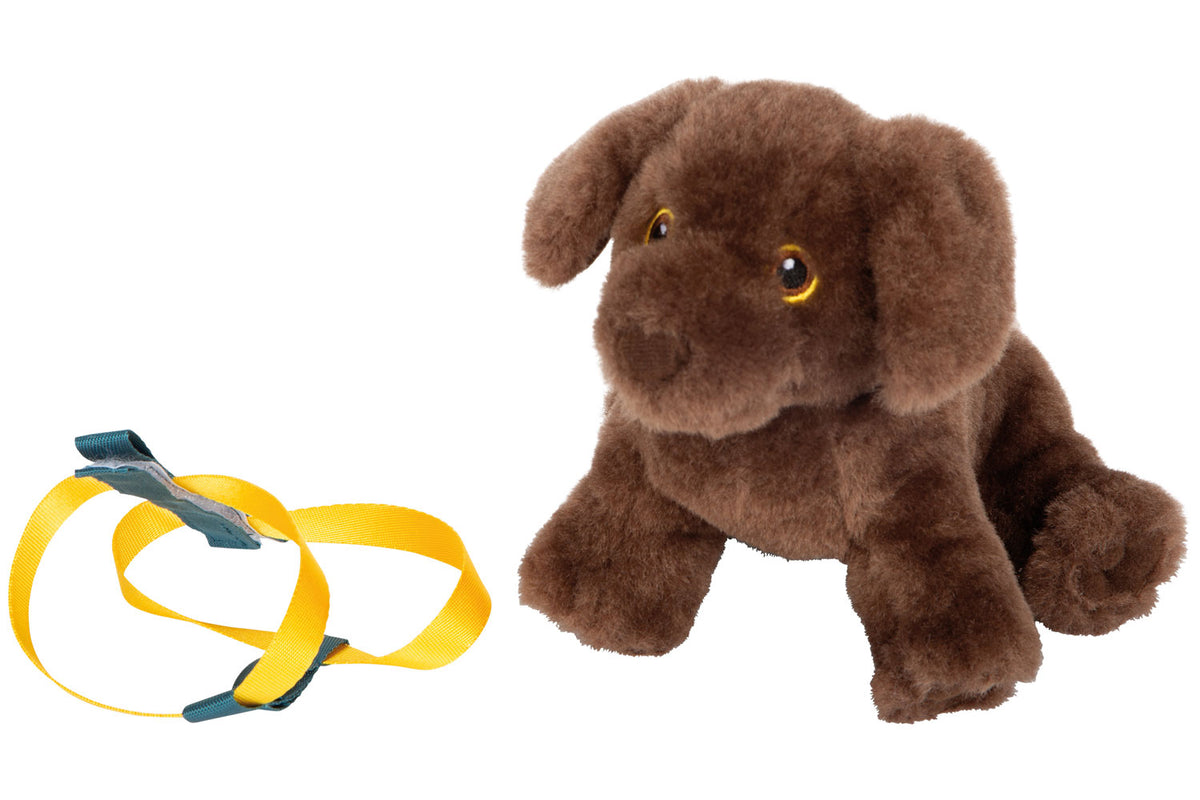 small foot Hund mit Tasche und Pflege-Set