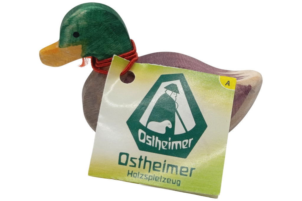 Ostheimer Erpel